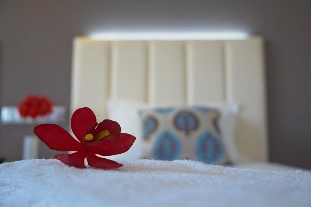 Hotel Azinheira By Ridan Hotels Φάτιμα Δωμάτιο φωτογραφία