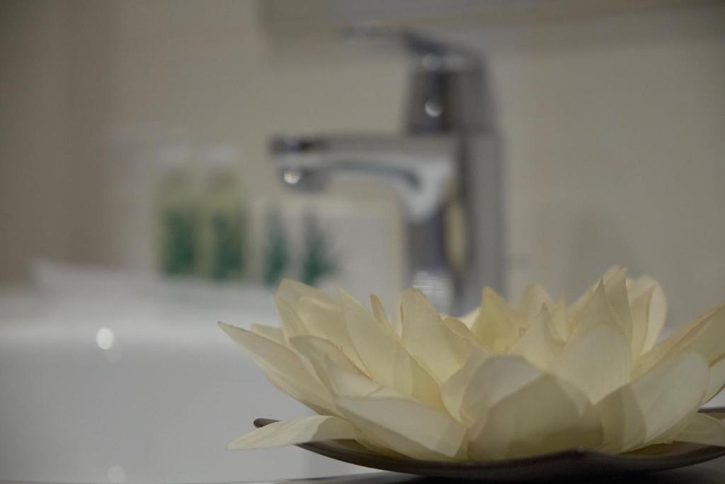 Hotel Azinheira By Ridan Hotels Φάτιμα Δωμάτιο φωτογραφία